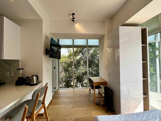 Beautiful Loft w/ Perfect View in Roma Norte