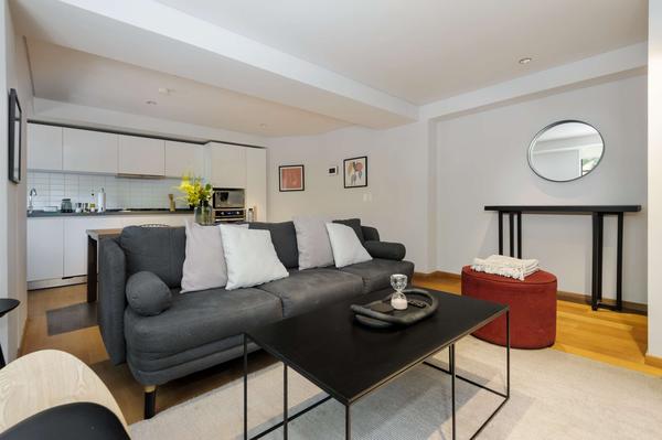 Radiant 2BR in Roma Norte