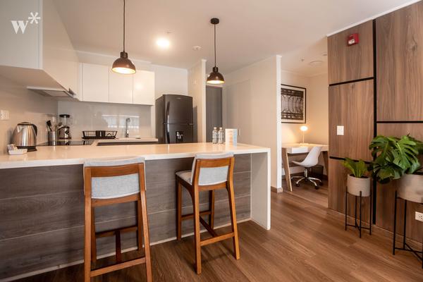Lovely 1BR in San Isidro