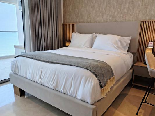 Luxurious Loft w/Balcony in Crespo