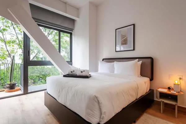 Homey loft in Cuauhtemoc