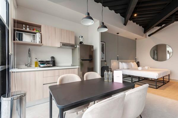 Splendid Loft with Terrace near Polanco