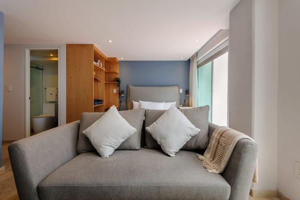 Peaceful Loft in Roma Norte