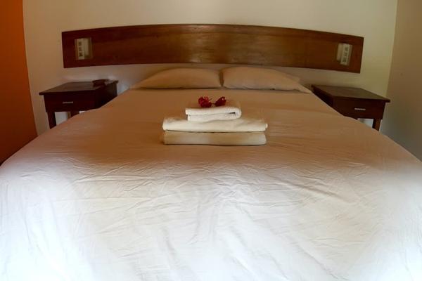 Relaxing 1BR w/ Palm View near Beach Máncora