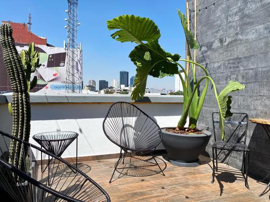Impressive 1BR with Rooftop in Roma Norte