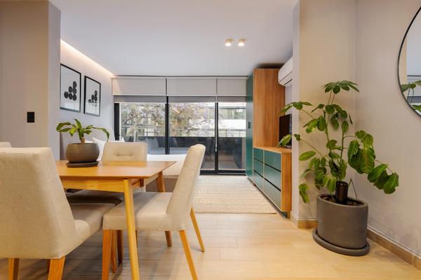 Perfect Loft with Terrace in Polanco