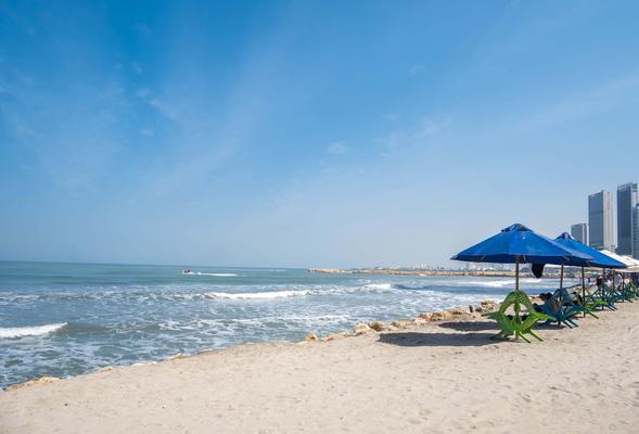 Grand Loft in the Heart of Bocagrande