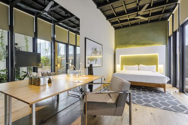 Amazing room in Casa Wynwood Roma Norte