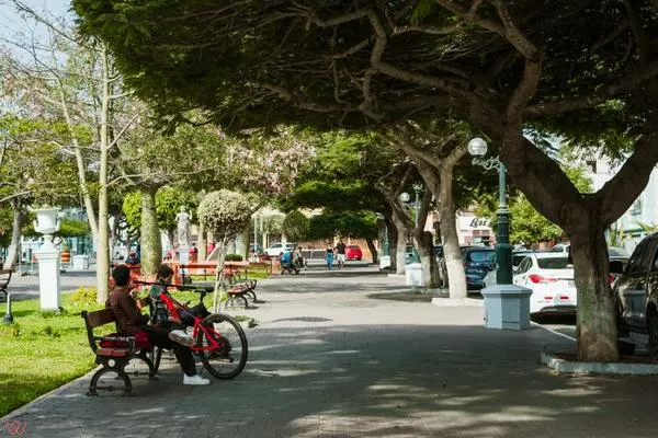 Cozy 2BR Relaxing Vibe in Barranco