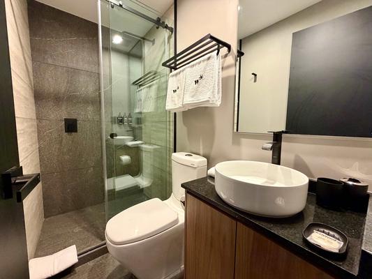 Modern & Cozy 1BR w/ Terrace in Tabacalera