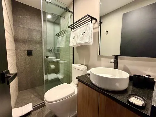 Modern & Cozy 1BR w/ Terrace in Tabacalera