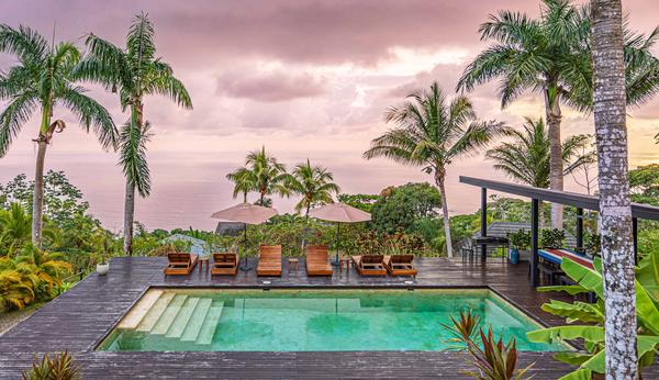 Modern Villa w/ Oceanview Terrace & Infinity Pool Access
