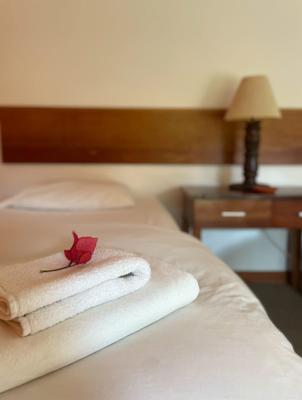 Cozy 1BR w/ Garden View near Beach Máncora