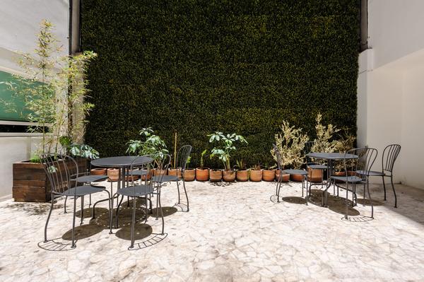 Splendid Loft in Roma Norte