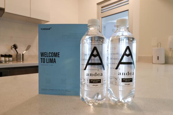 Majestic 2BR w/ Modern balcony in Miraflores