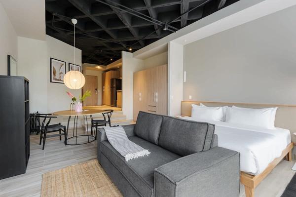 Well-appointed Loft near Polanco