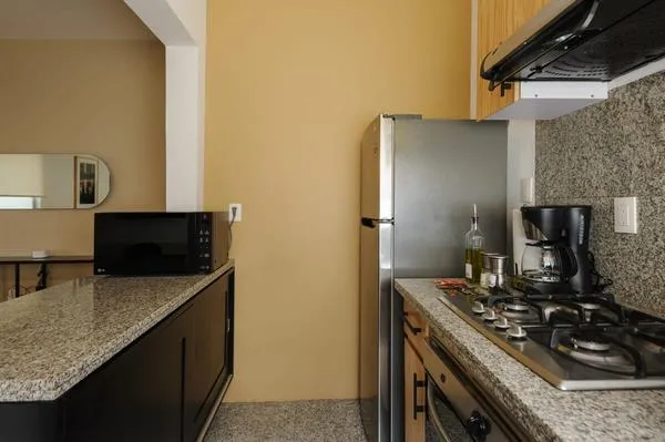 Dreamlike 3BR in Roma Norte