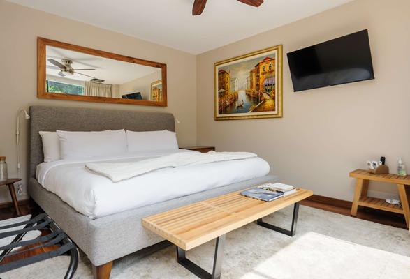 Spacious & Bright 4BR in Condesa