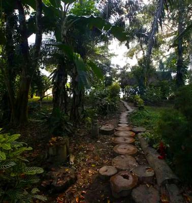 Attractive 1BR Bungalow with Natural Views