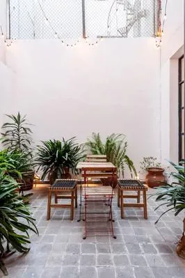 Spacious 2BR Duplex in Roma Norte