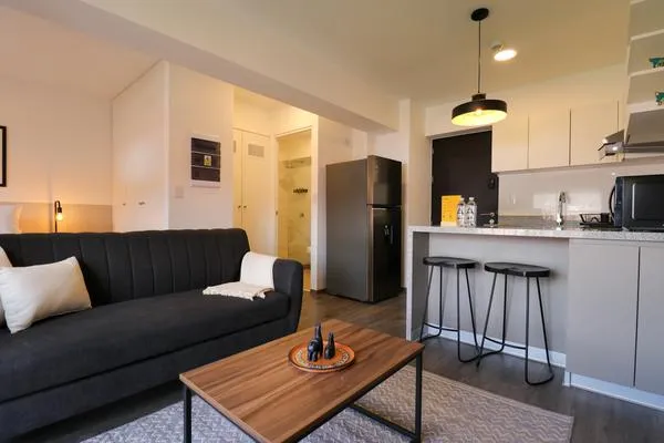 Amazing 1BR  in centric Cusco