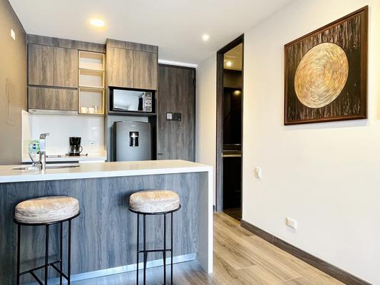 Lush 1BR in Luxury Building in Chico