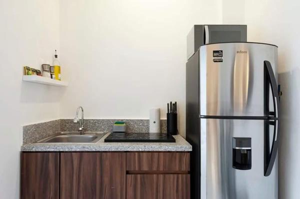 Enchanting Loft in the Heart of Polanco