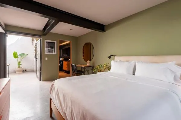Serene 1BR with Terrace in Roma Norte