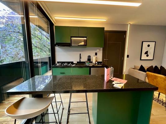 Amazing 1BR with Terrace in Polanco