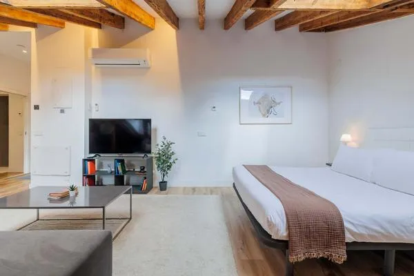 Splendid Loft at Palacio Real