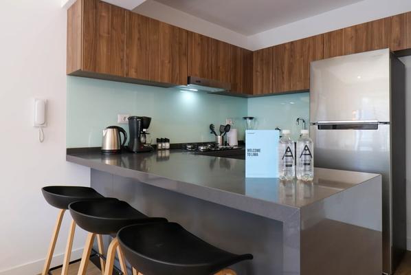 Fascinating 1BR with balcony in San Isidro