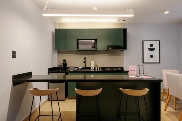 Perfect Loft with Terrace in Polanco