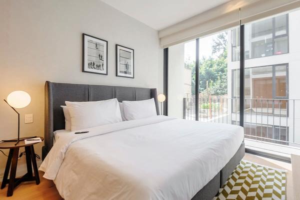 Lovely 2BR in Condesa