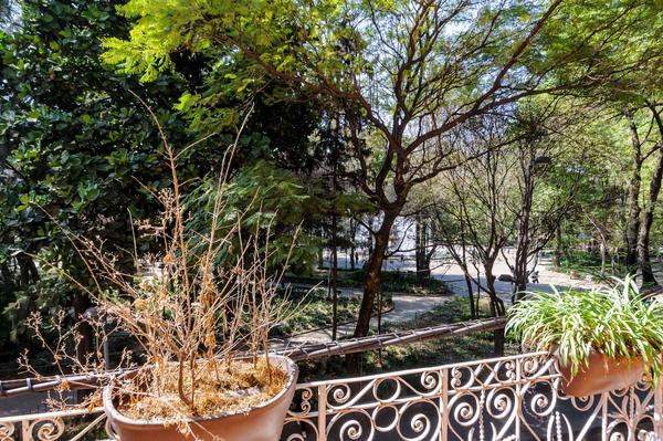 Charming Loft with Great Balcony in Roma Norte