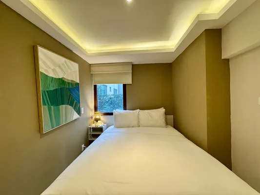 Charming & Cozy 1BR in Prime Polanco