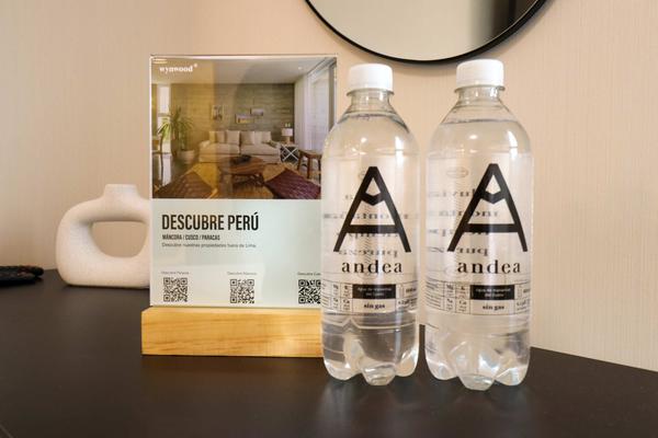 Fascinating Loft in the Heart of Miraflores