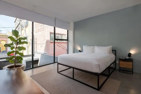 Relaxing 2BR in Roma Norte