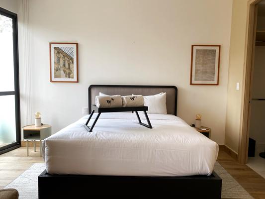 Bright 1BR in Cuauhtemoc