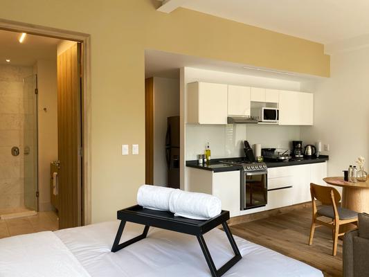 Bright 1BR in Cuauhtemoc