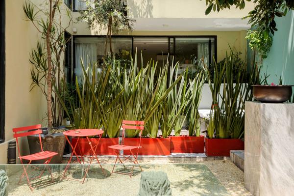 Spacious & Bright 4BR in Condesa