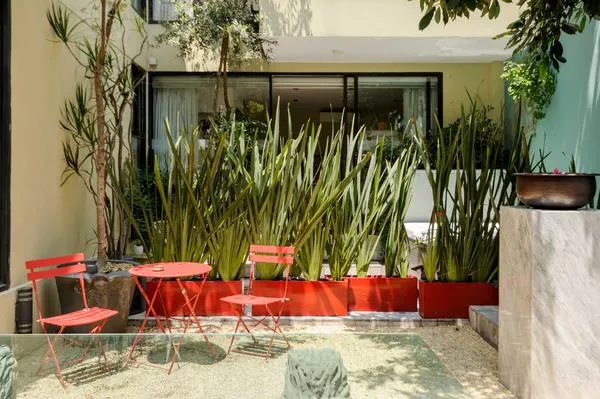 Spacious & Bright 4BR in Condesa