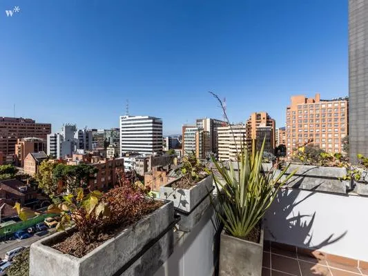 Amazing 1BR with Terrace in Chico