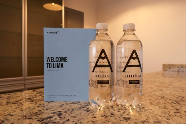 Classy 2BR with City View in Miraflores