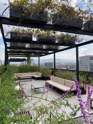 Deluxe 2BR w/ Pool & View in Condesa