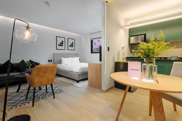 Polished Loft in Polanco